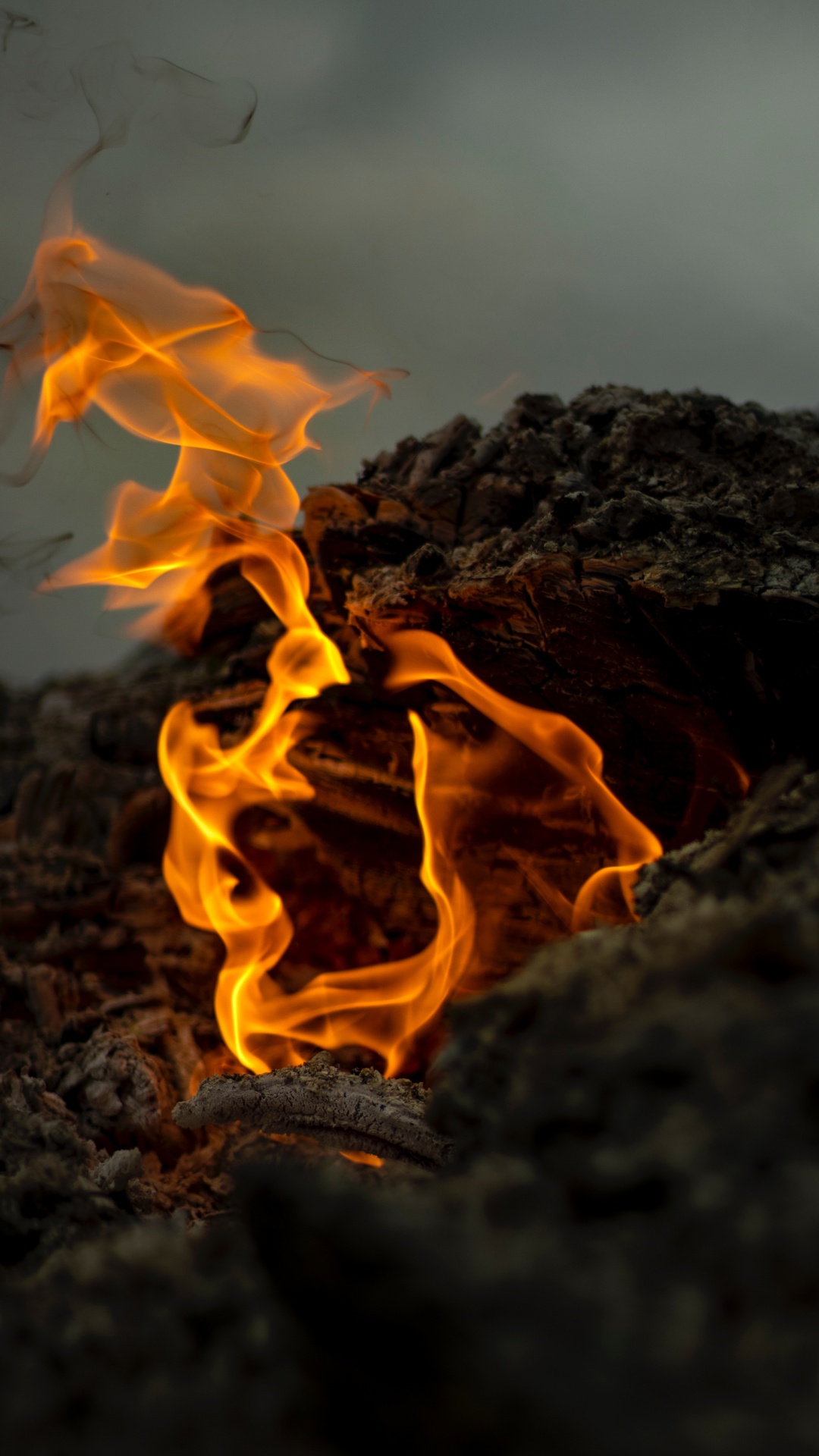 Feuer, Flamme, Hitze, Asche, Lagerfeuer. Wallpaper in 1080x1920 Resolution