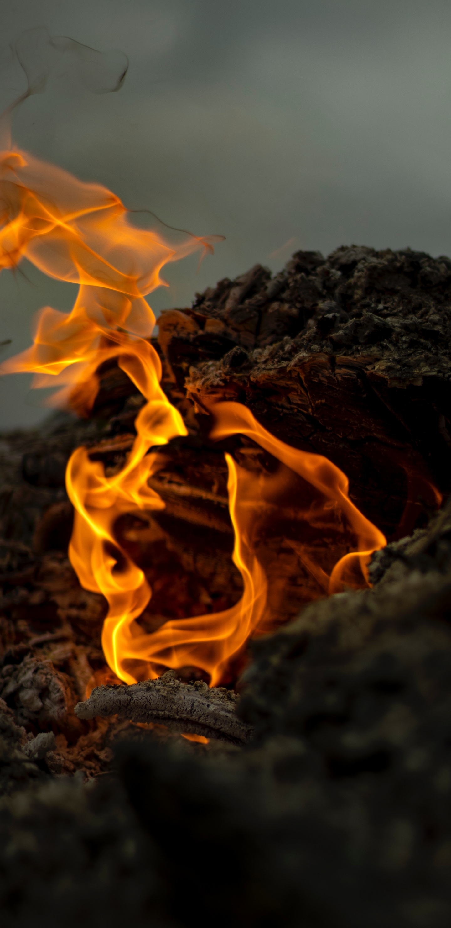 Feuer, Flamme, Hitze, Asche, Lagerfeuer. Wallpaper in 1440x2960 Resolution