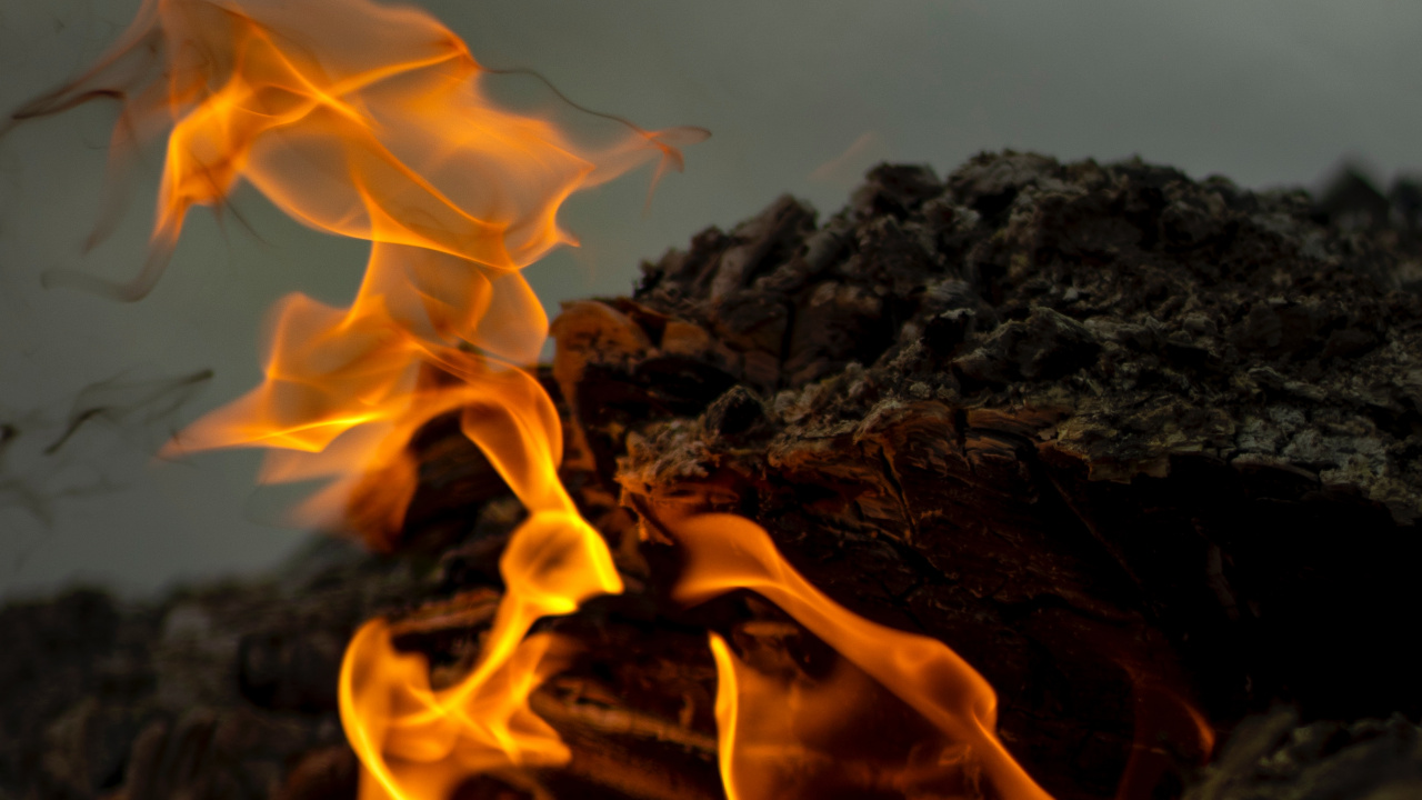 Fire, Flame, Heat, Ash, Bonfire. Wallpaper in 1280x720 Resolution