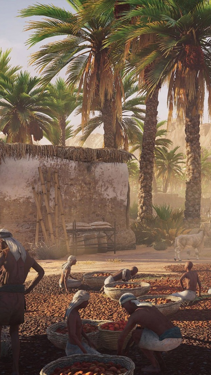 People Sitting on Brown and Black Leopard Print Carpet. Wallpaper in 720x1280 Resolution