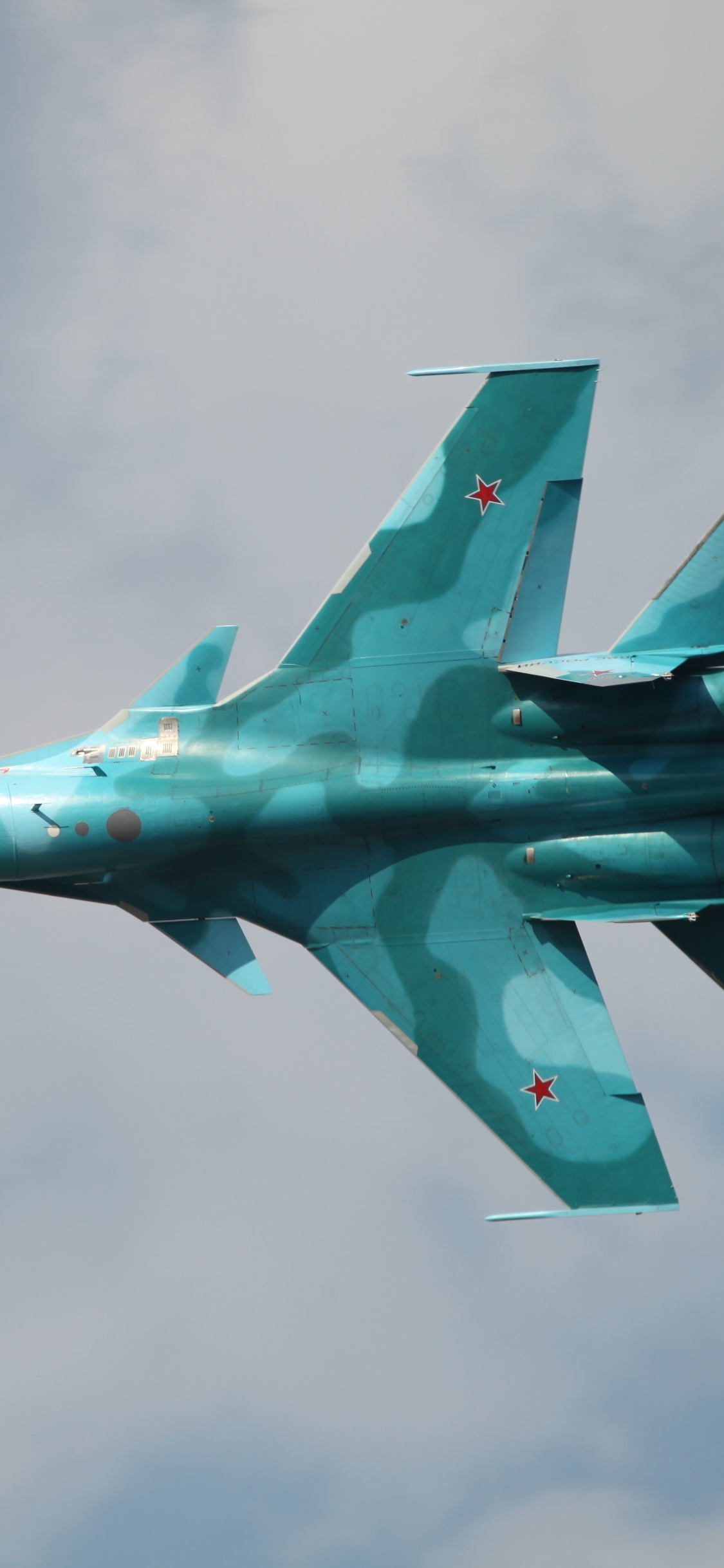 军用飞机, 苏霍伊, 空军, 航空, 喷气式飞机 壁纸 1125x2436 允许