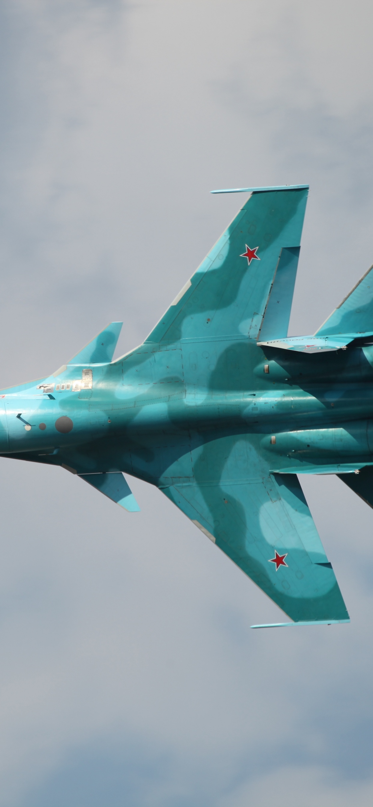 军用飞机, 苏霍伊, 空军, 航空, 喷气式飞机 壁纸 1242x2688 允许