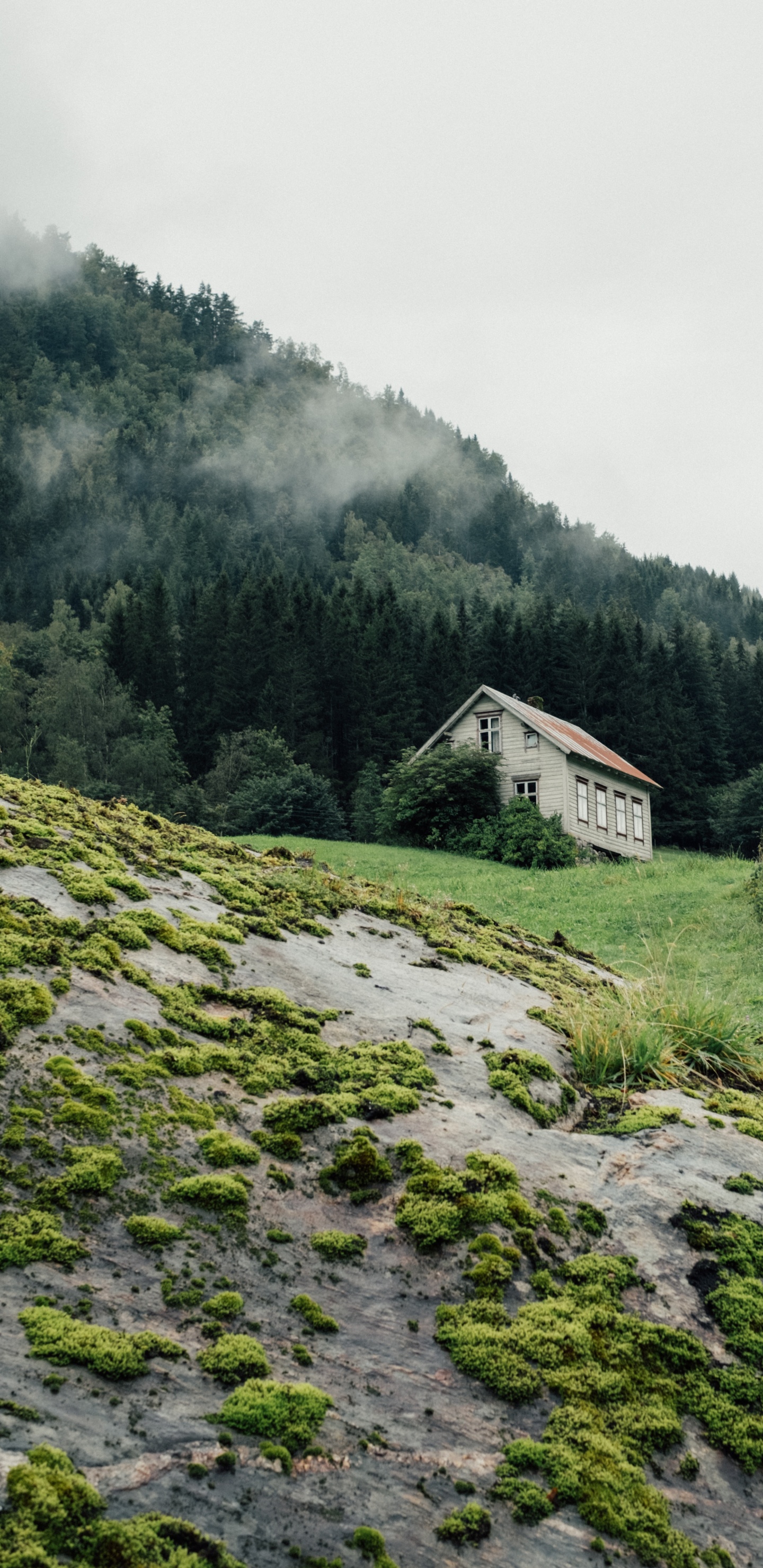 Naturlandschaft, Hochland, Mount Scenery, Bergigen Landschaftsformen, Bergkette. Wallpaper in 1440x2960 Resolution