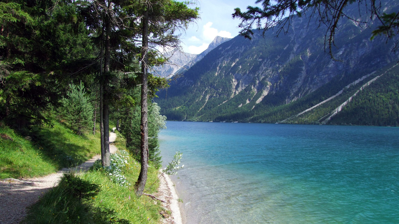 Green Trees Near Body of Water During Daytime. Wallpaper in 1280x720 Resolution