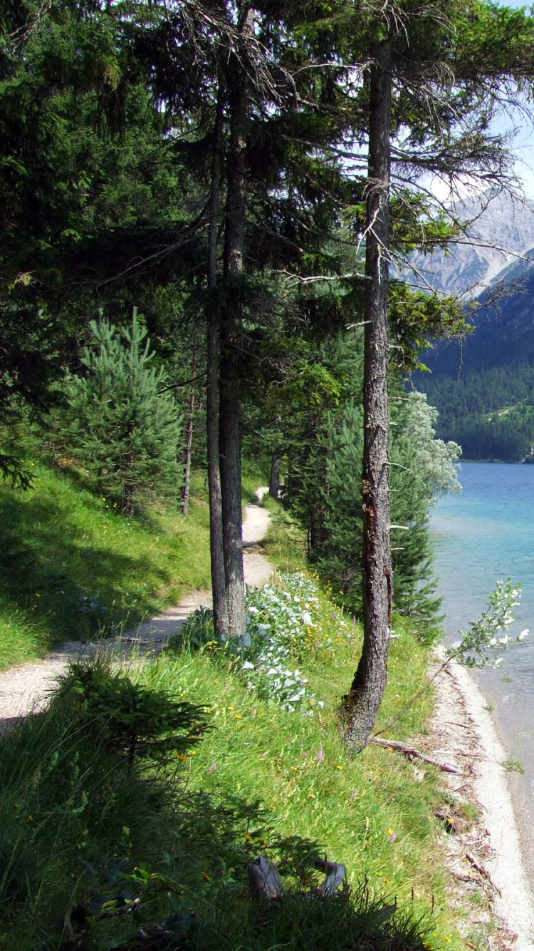 Green Trees Near Body of Water During Daytime. Wallpaper in 750x1334 Resolution