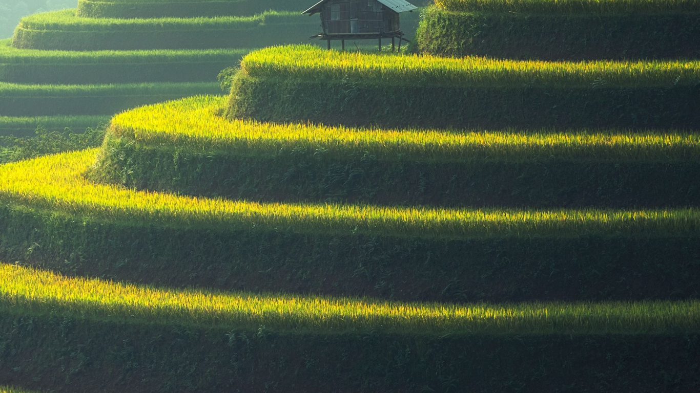 Actos 9 6, Actos 15, Actos 9, Naturaleza, la Botánica. Wallpaper in 1366x768 Resolution