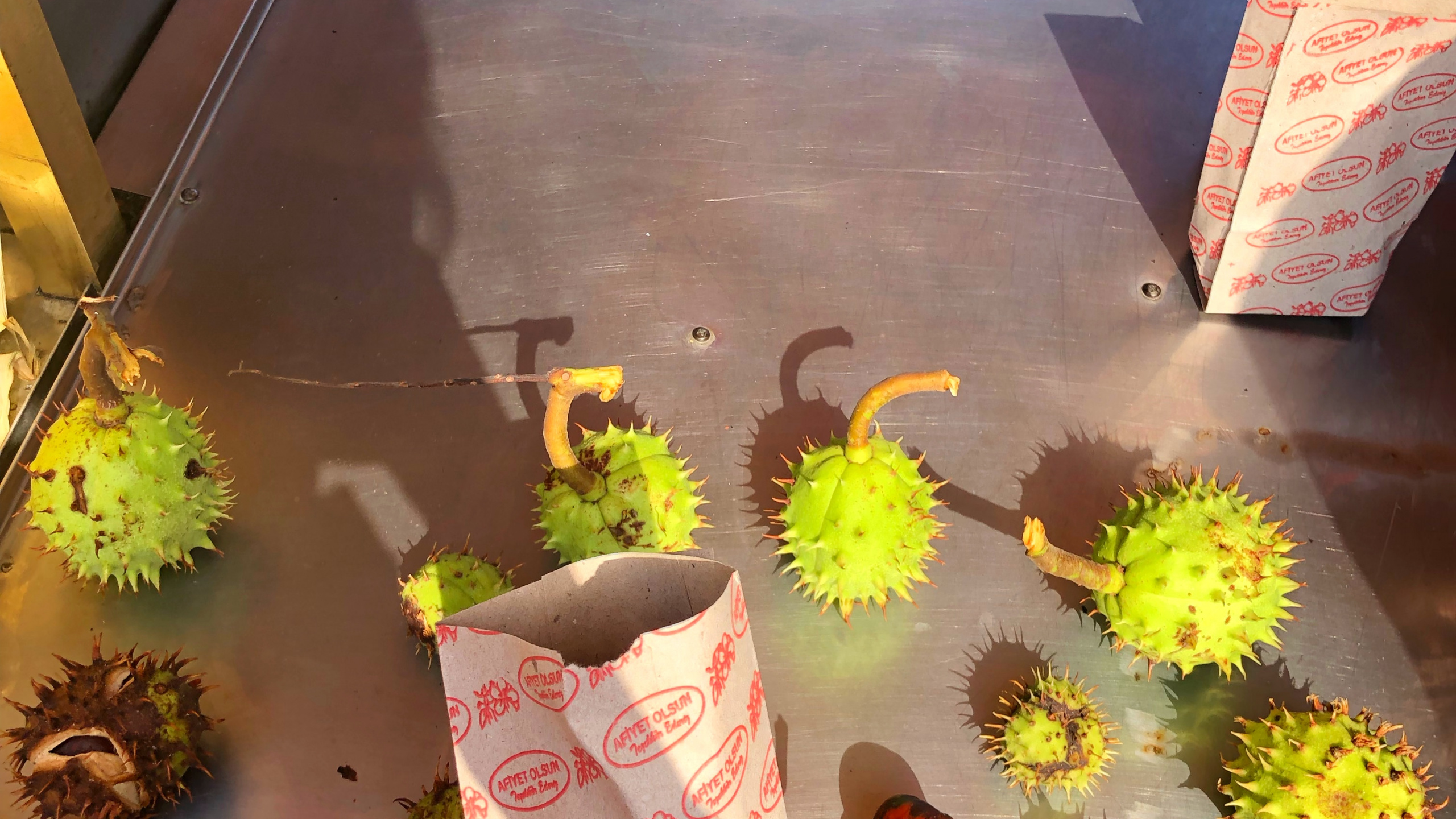 Aliment, Broméliacées, Pétale, Famille Des Marguerites, Design Floral. Wallpaper in 2560x1440 Resolution