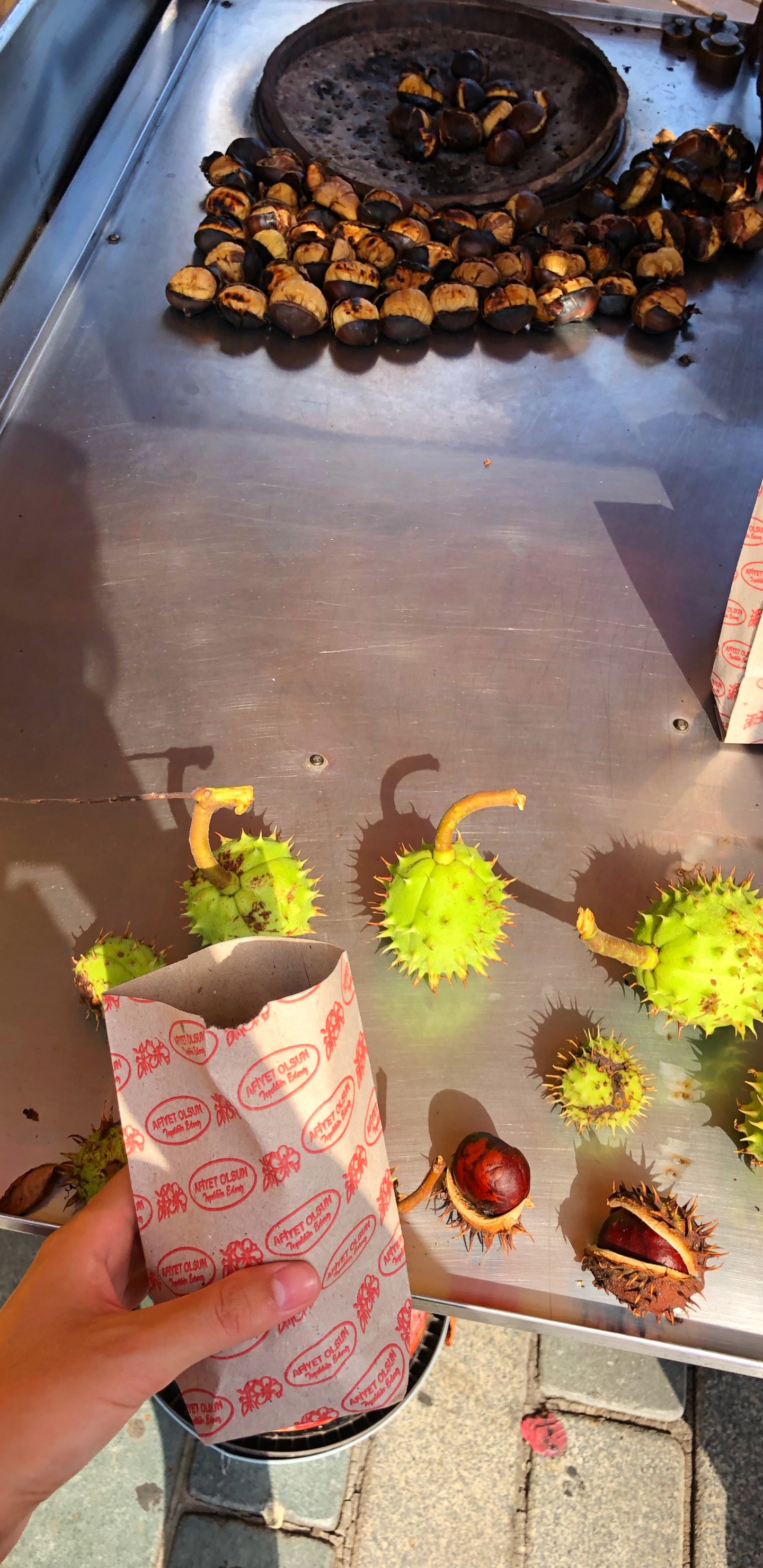 Alimento, Bromelias, Pétalo, Girasol, Daisy Familia. Wallpaper in 1440x2960 Resolution