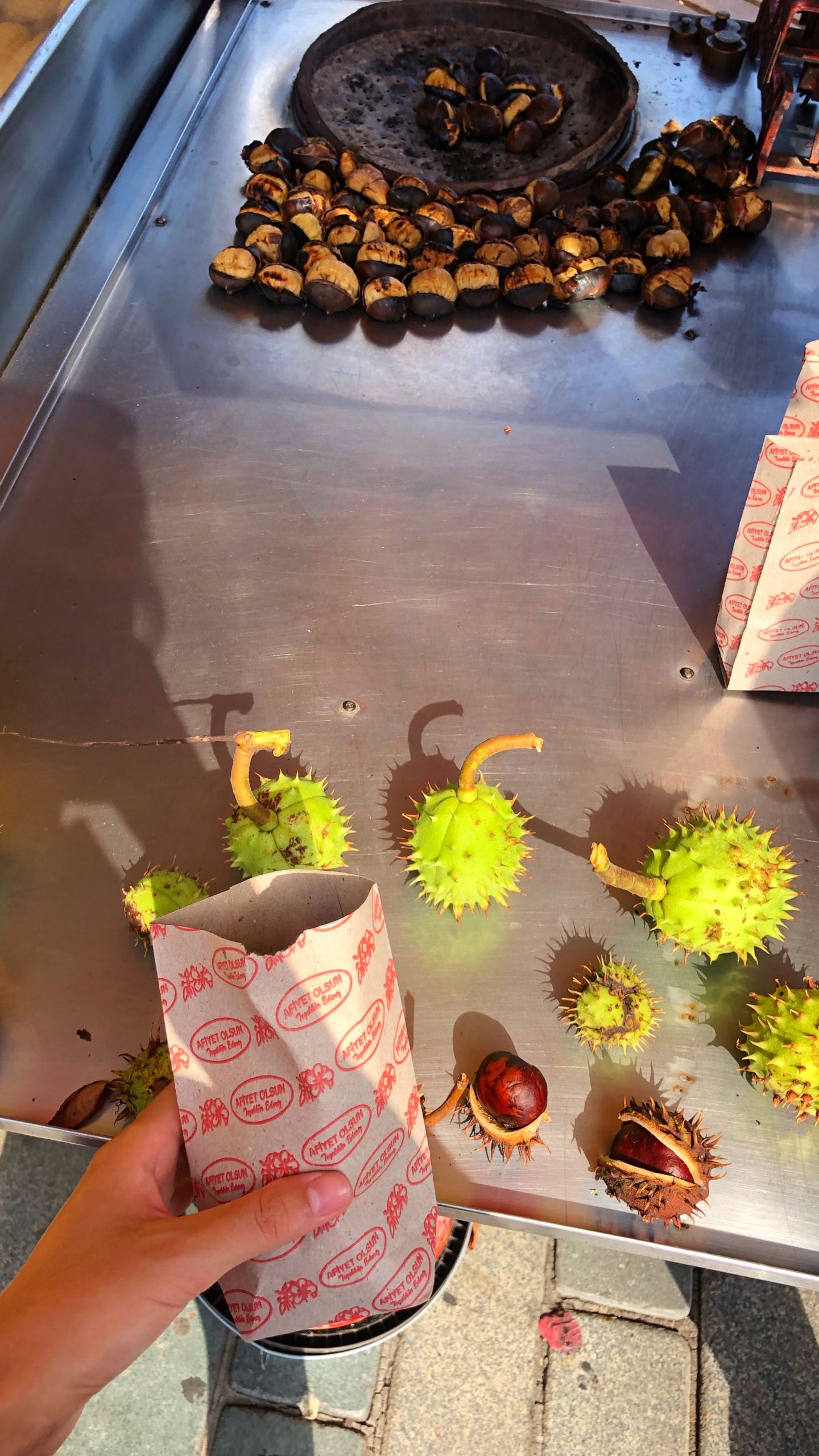 Food, Bromeliads, Petal, Sunflower, Daisy Family. Wallpaper in 1440x2560 Resolution