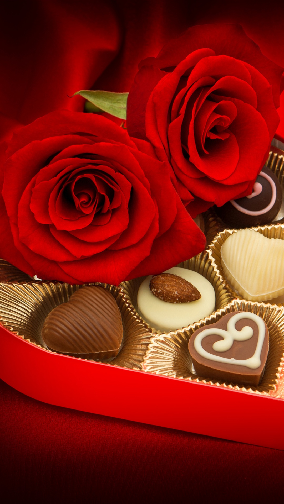 le Jour de Valentines, Roses, Amour, la Famille Rose, Les Roses de Jardin. Wallpaper in 1080x1920 Resolution