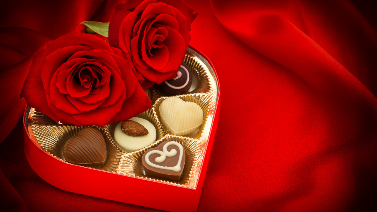 le Jour de Valentines, Roses, Amour, la Famille Rose, Les Roses de Jardin. Wallpaper in 1280x720 Resolution