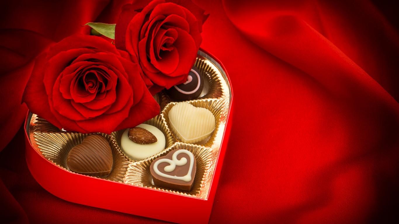 le Jour de Valentines, Roses, Amour, la Famille Rose, Les Roses de Jardin. Wallpaper in 1366x768 Resolution