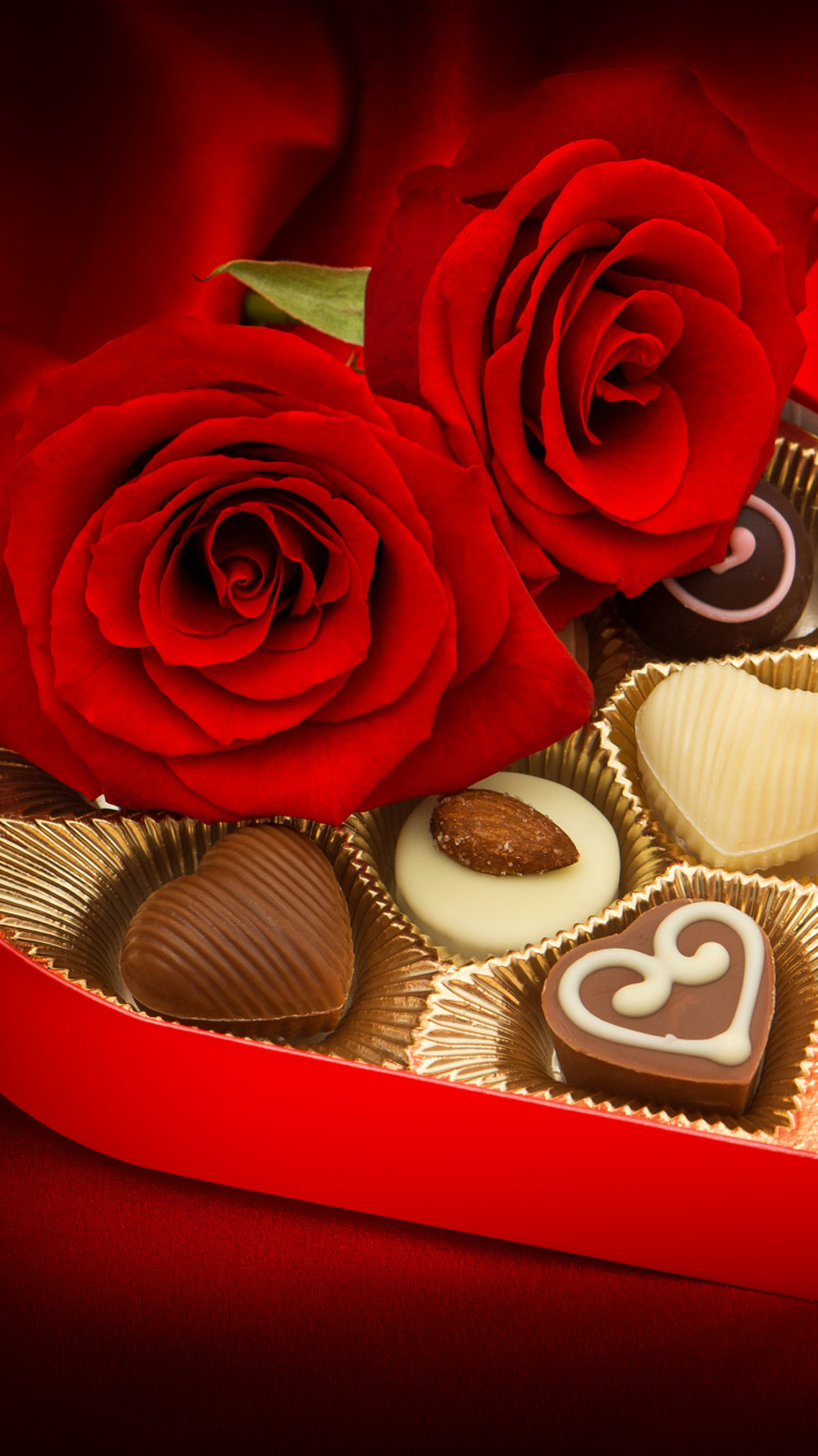 le Jour de Valentines, Roses, Amour, la Famille Rose, Les Roses de Jardin. Wallpaper in 750x1334 Resolution