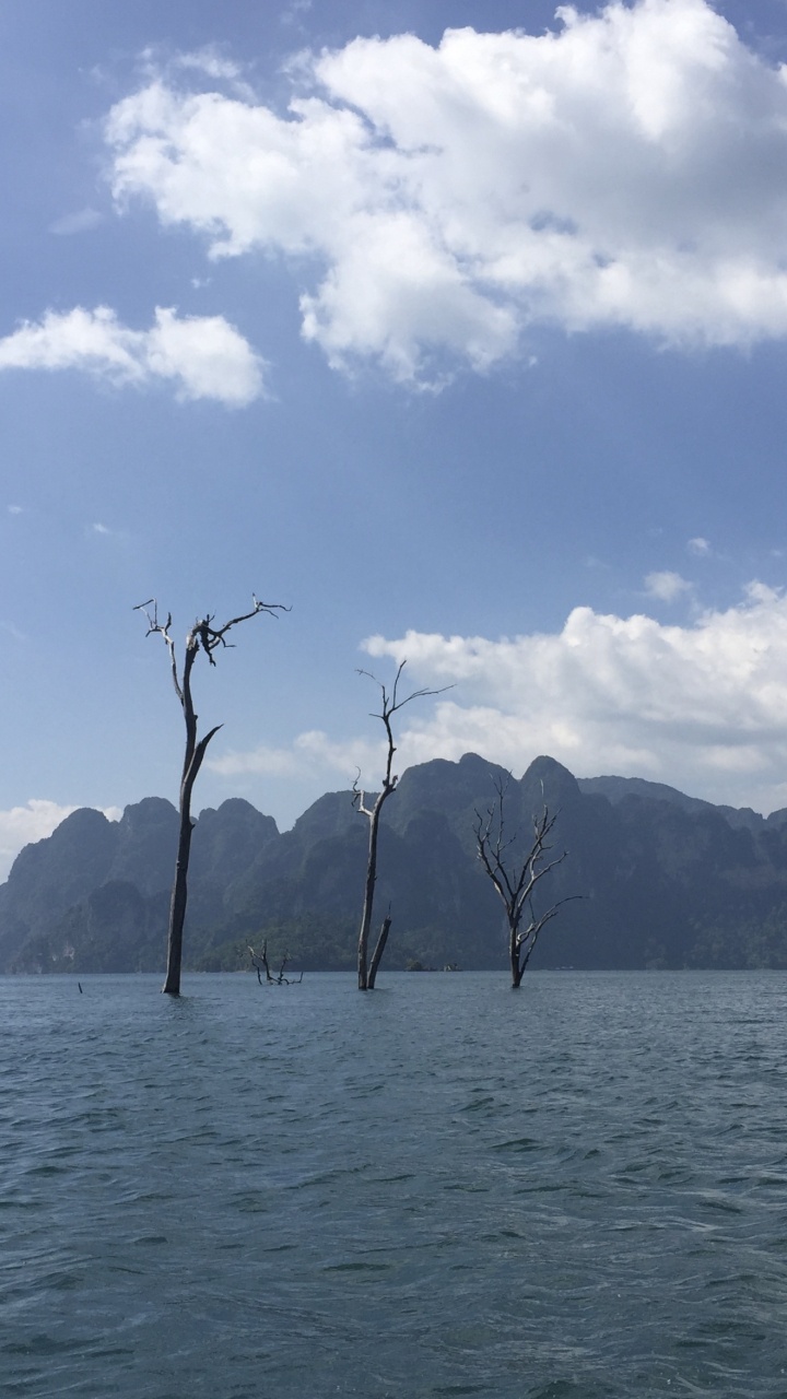 峡湾, 水资源, 山脉, 银行, 高地 壁纸 720x1280 允许