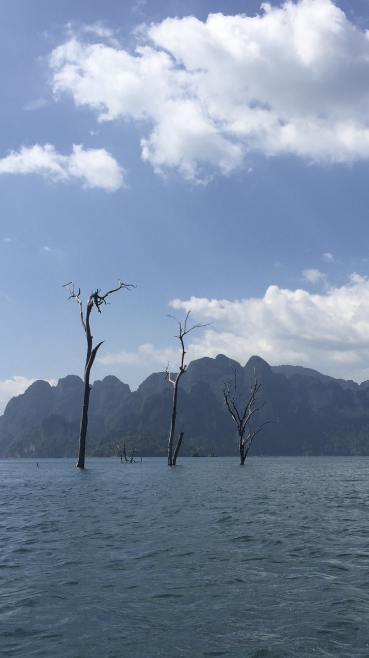 峡湾, 水资源, 山脉, 银行, 高地 壁纸 750x1334 允许