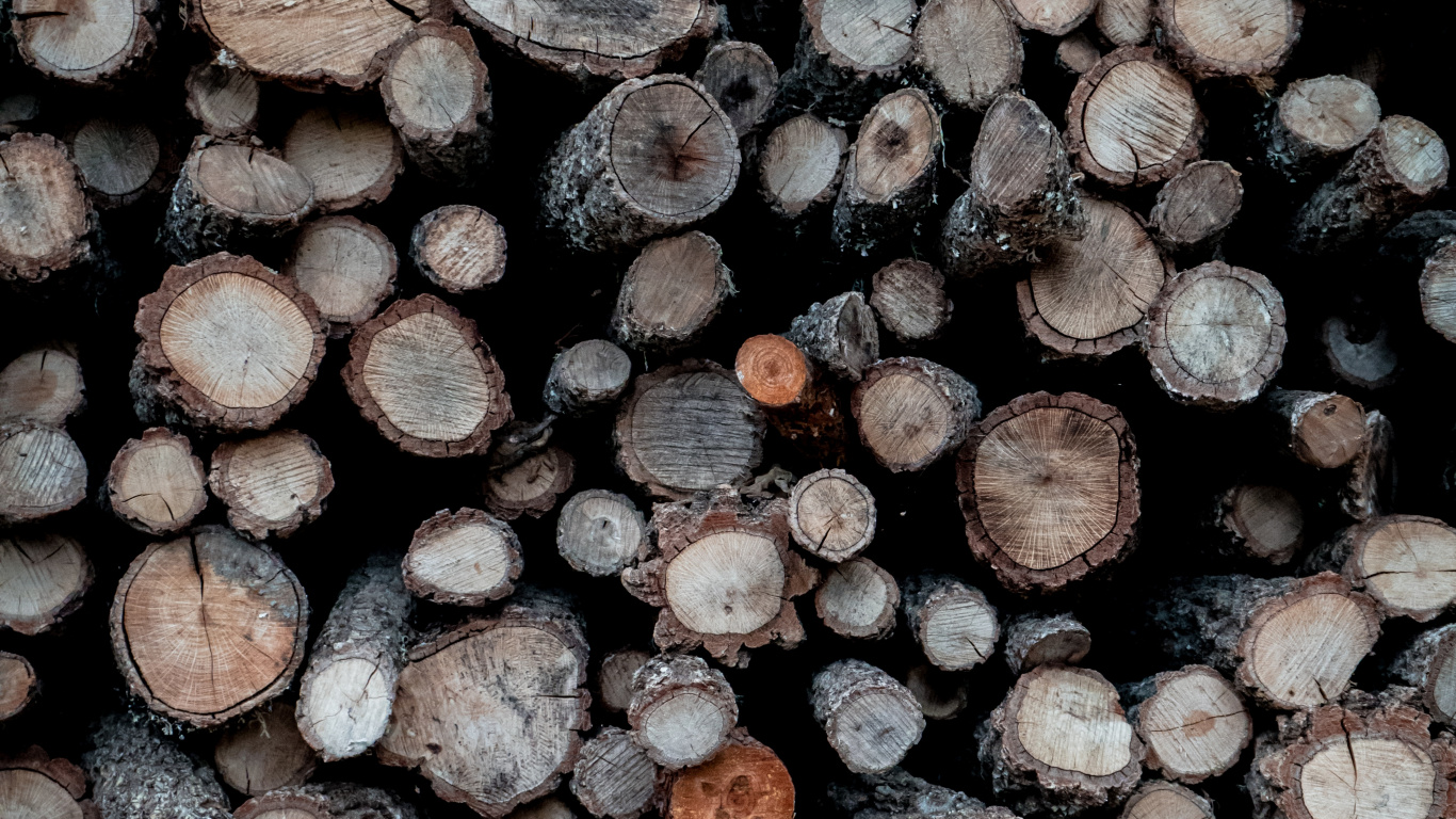 Brown and Gray Wood Logs. Wallpaper in 1366x768 Resolution