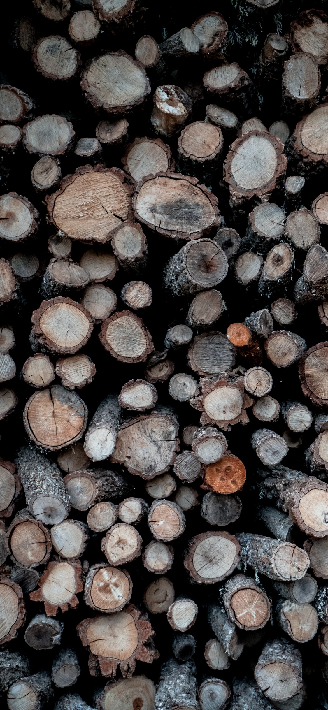 Bûches de Bois Marron et Gris. Wallpaper in 1125x2436 Resolution