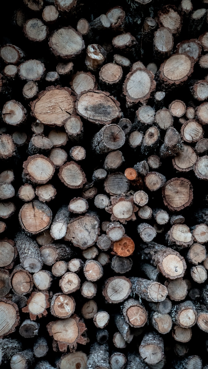 Bûches de Bois Marron et Gris. Wallpaper in 720x1280 Resolution