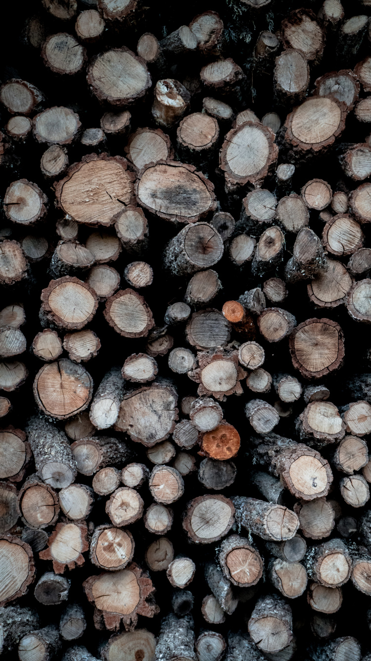 Bûches de Bois Marron et Gris. Wallpaper in 750x1334 Resolution