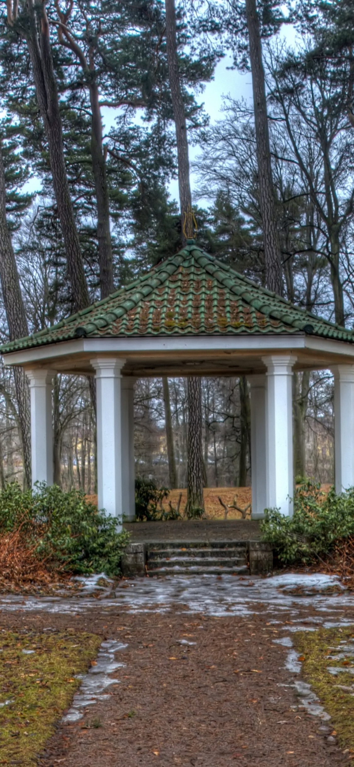 Casa de Madera Blanca y Verde en el Bosque. Wallpaper in 1125x2436 Resolution