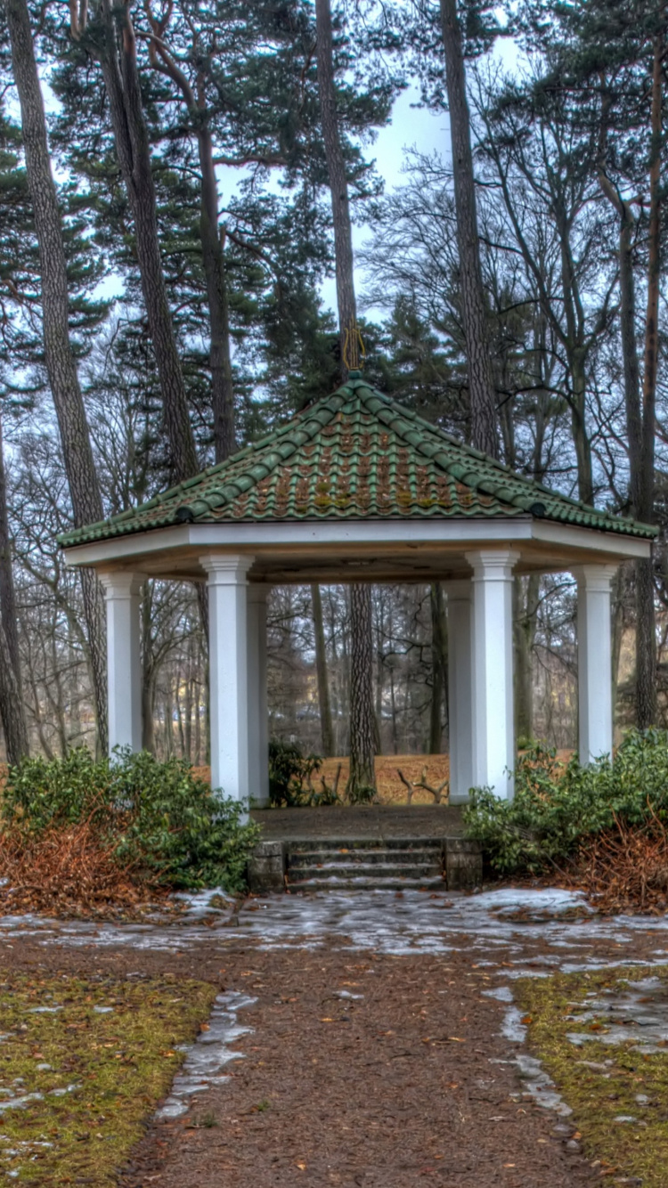 Weißes Und Grünes Holzhaus im Wald. Wallpaper in 750x1334 Resolution