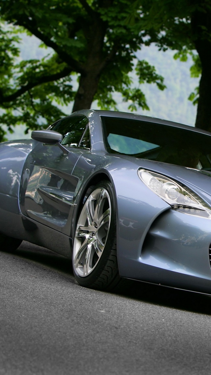 Silver Porsche 911 Parked Near Green Leaf Trees During Daytime. Wallpaper in 720x1280 Resolution