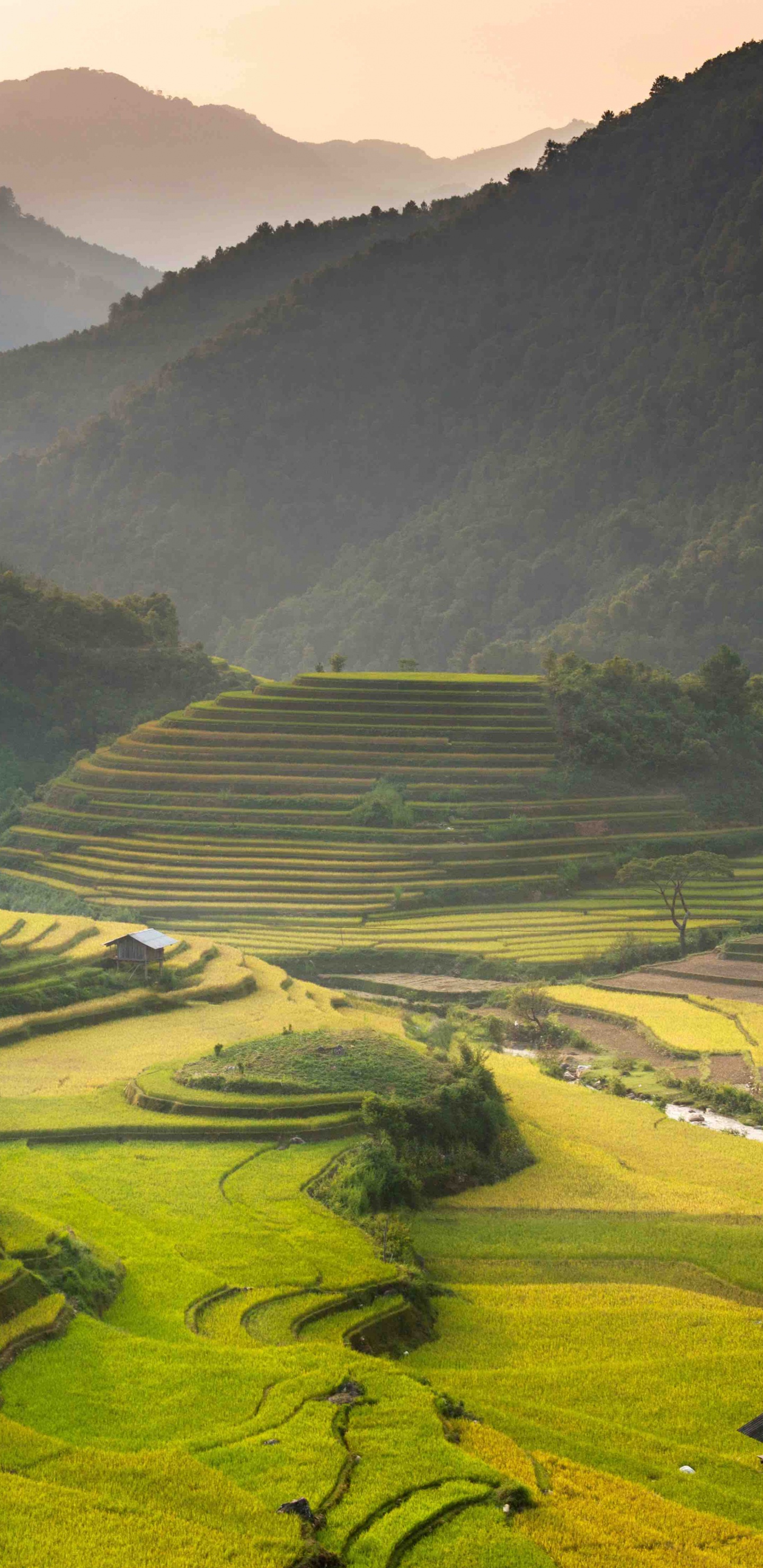 Tagsüber Grüne Wiese Und Berge. Wallpaper in 1440x2960 Resolution