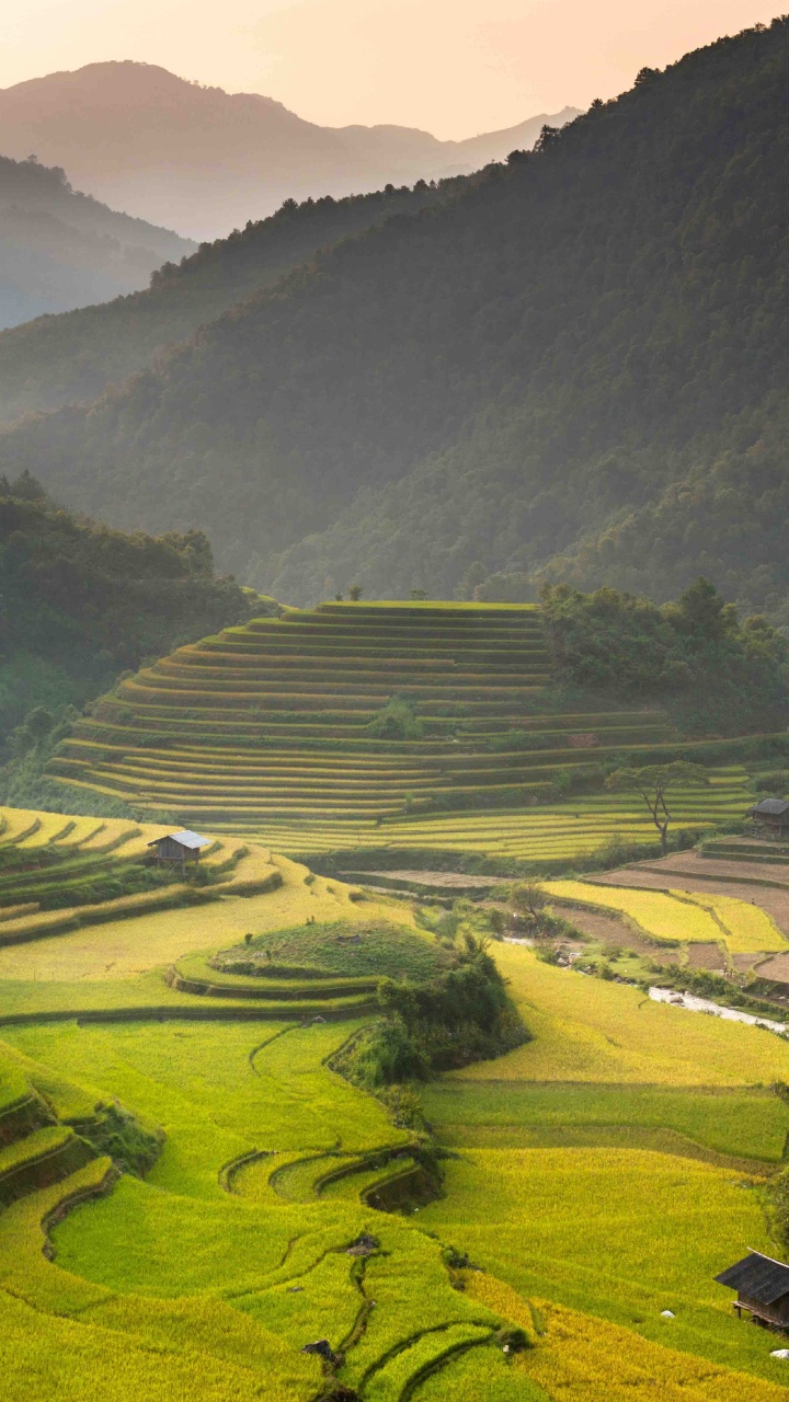 Tagsüber Grüne Wiese Und Berge. Wallpaper in 720x1280 Resolution