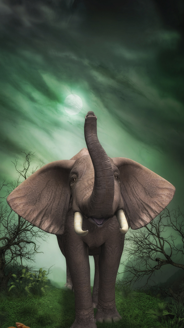 Malerei, Poster, Kunst, Mit Diamanten Bemalen, Baum. Wallpaper in 750x1334 Resolution