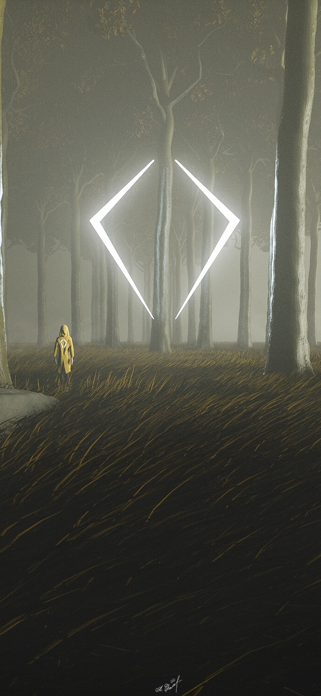 Personne en Veste Jaune Debout Sur la Forêt Pendant la Journée. Wallpaper in 1242x2688 Resolution