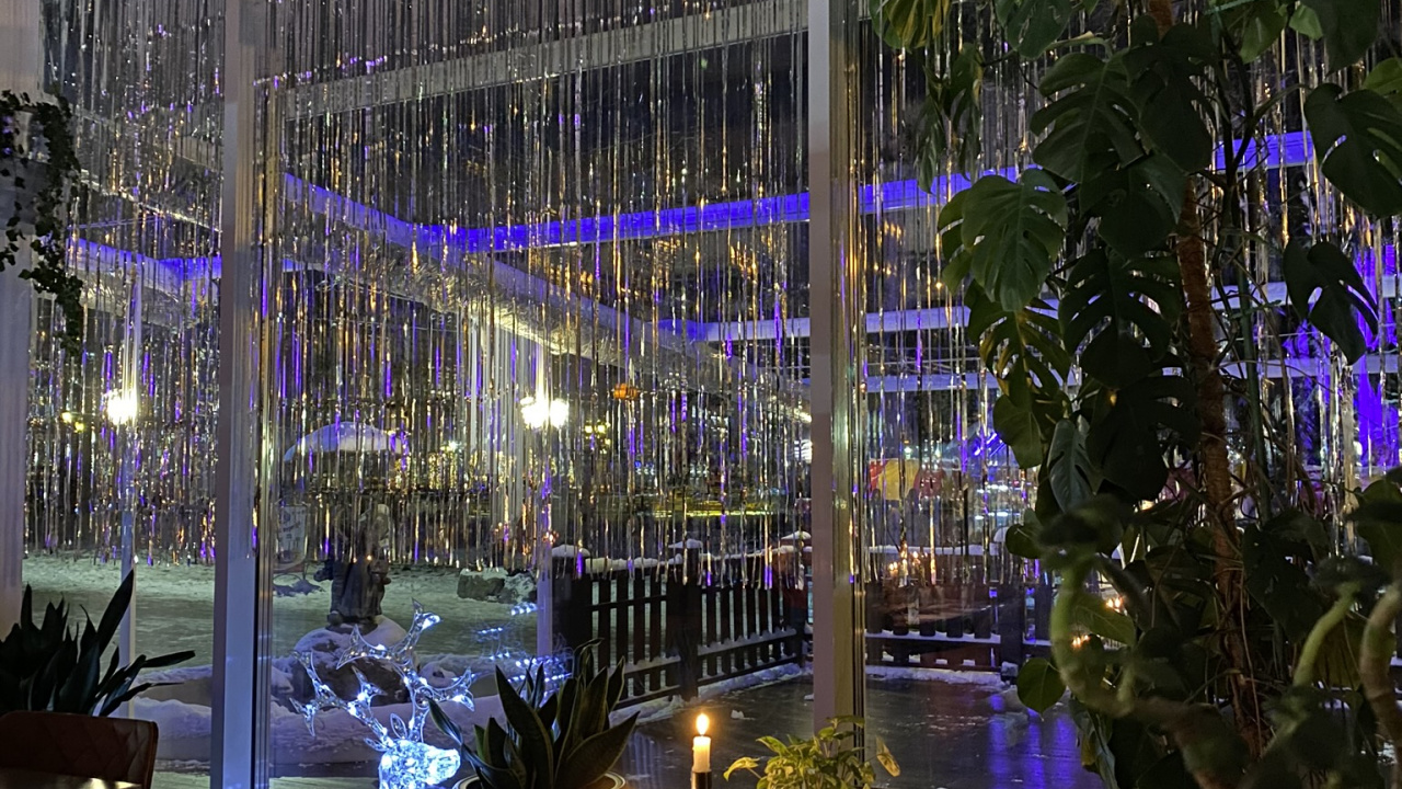 Restaurant, Wissenschaft, Biologie, Tabelle, Möbel. Wallpaper in 1280x720 Resolution