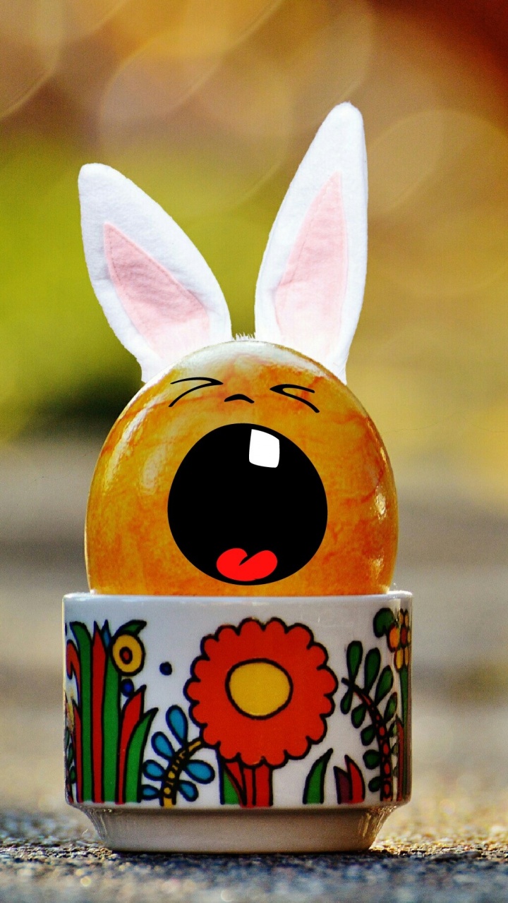 Huevo de Pascua, Conejo, Los Conejos y Las Liebres, Pascua, Conejito de Pascua. Wallpaper in 720x1280 Resolution