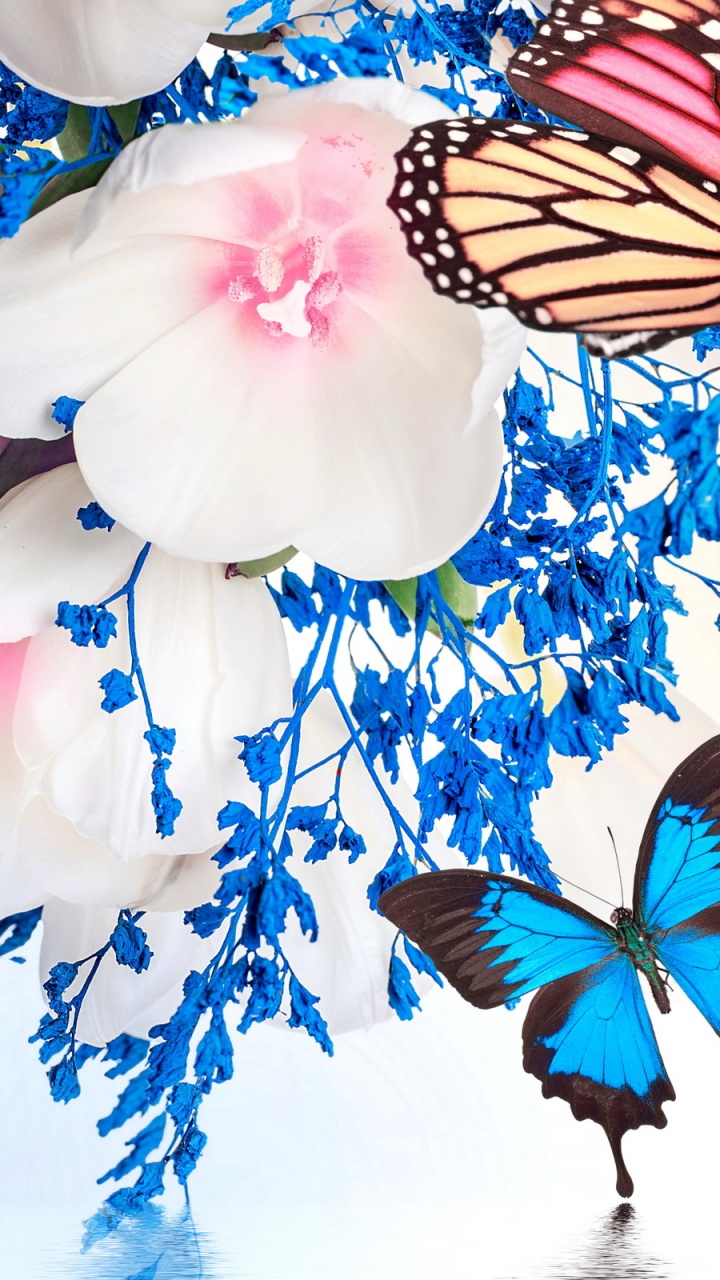Black and Orange Butterfly on White and Blue Floral Textile. Wallpaper in 720x1280 Resolution