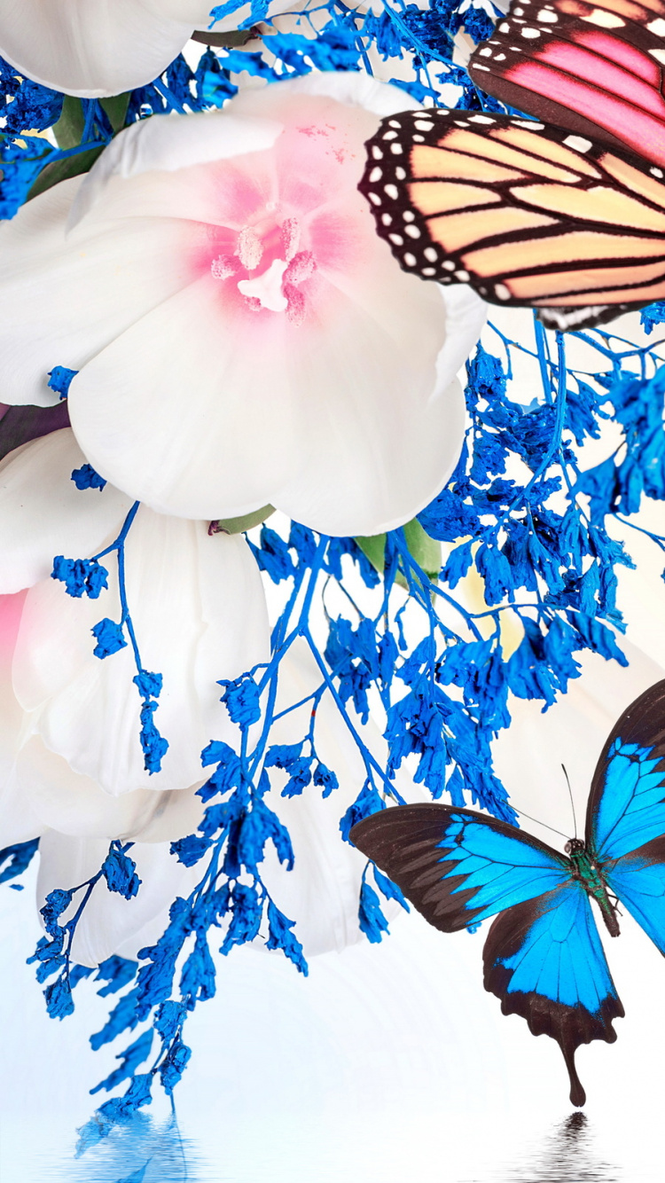 Black and Orange Butterfly on White and Blue Floral Textile. Wallpaper in 750x1334 Resolution