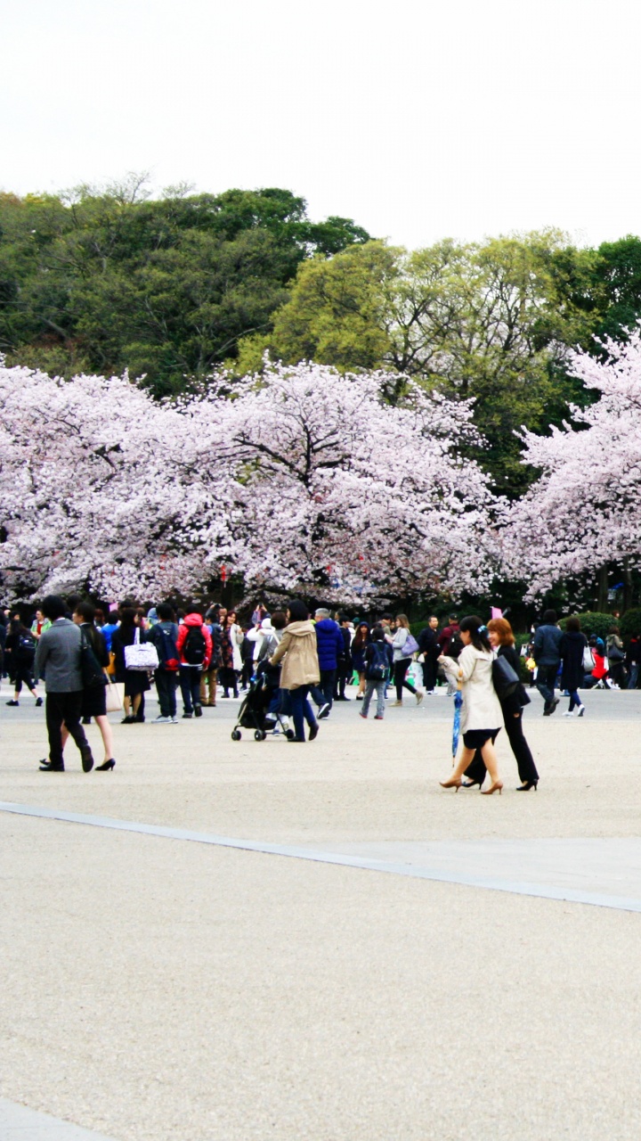 People Walking on Park During Daytime. Wallpaper in 720x1280 Resolution