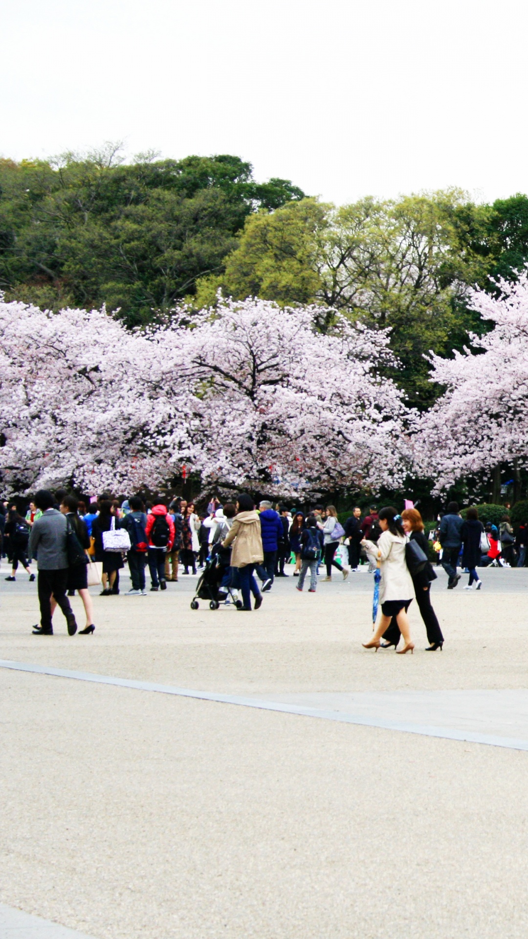 Personnes Marchant Sur le Parc Pendant la Journée. Wallpaper in 1080x1920 Resolution