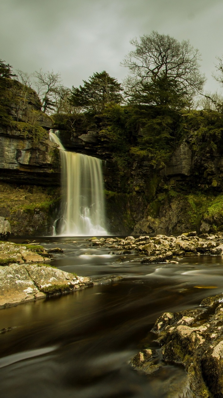 Water Falls in The Middle of Green Trees. Wallpaper in 720x1280 Resolution