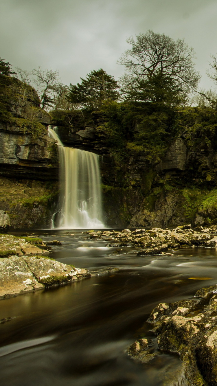 L'eau Tombe au Milieu Des Arbres Verts. Wallpaper in 750x1334 Resolution