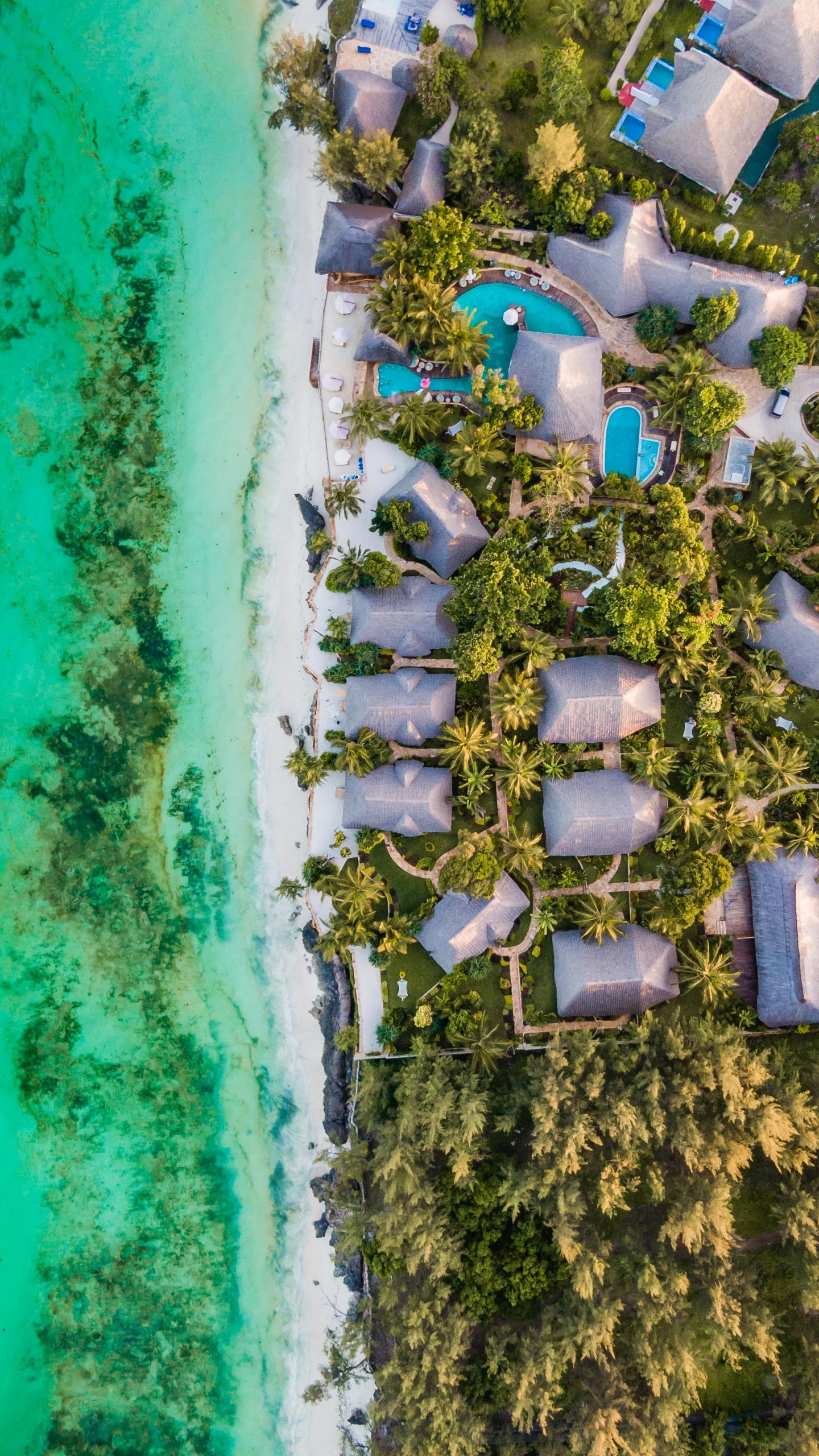 Birds Eye View, Fernsehen, Städtebau, Immobilie, Baum. Wallpaper in 1440x2560 Resolution