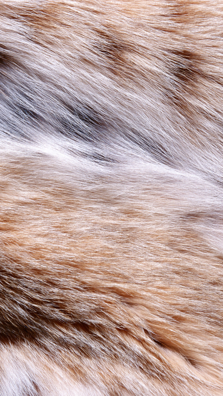 Brown and White Fur Textile. Wallpaper in 750x1334 Resolution