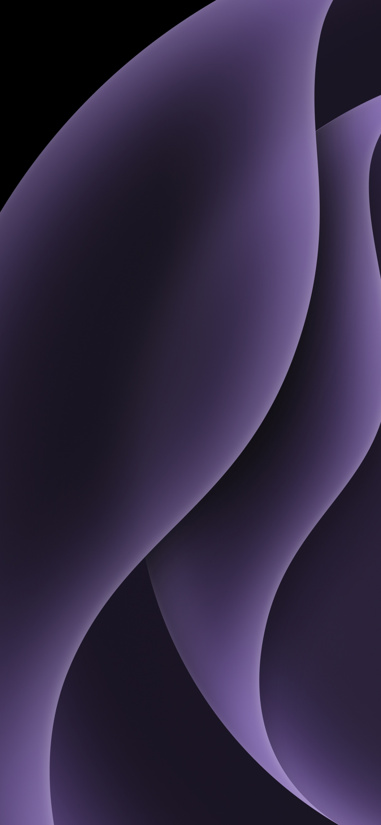 Papel de Parede Abstrato, Plant, Purple, Grey, Violet. Wallpaper in 1242x2688 Resolution