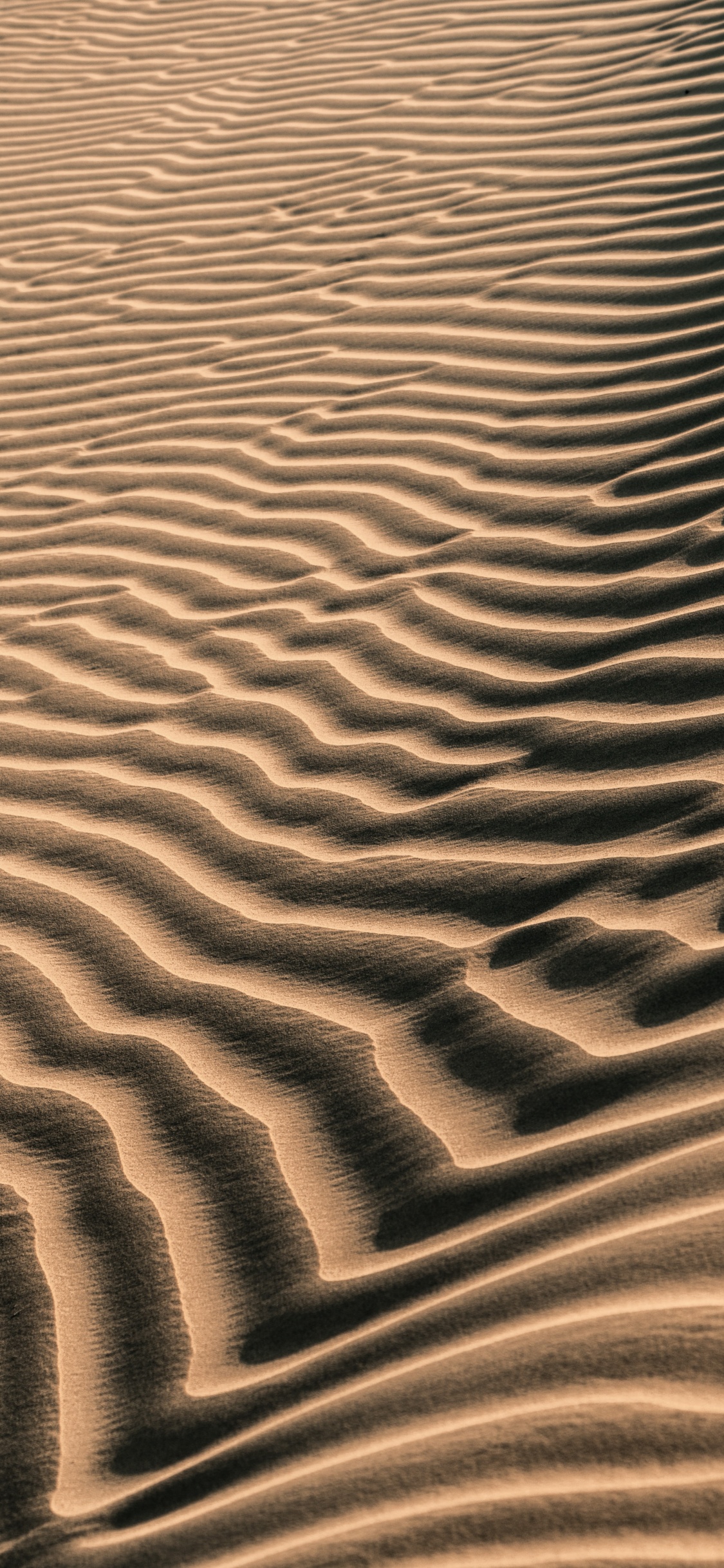 Sand, Brown, ERG, Art, Eoliennes Relief. Wallpaper in 1125x2436 Resolution