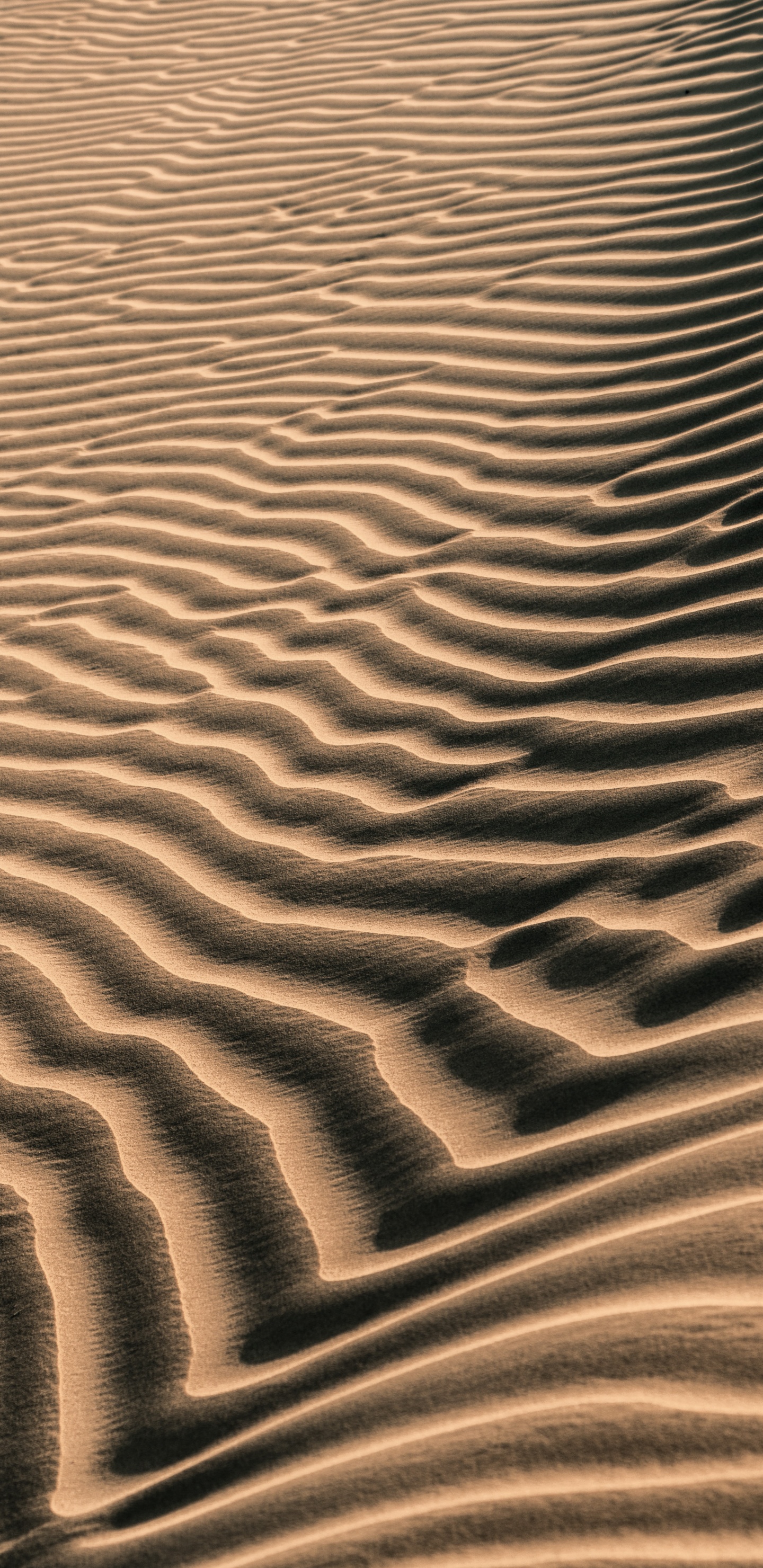 Sand, Brown, ERG, Art, Eoliennes Relief. Wallpaper in 1440x2960 Resolution