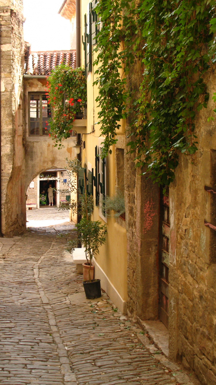 Brauner Backsteinweg Zwischen Braunen Betonhäusern Tagsüber. Wallpaper in 750x1334 Resolution