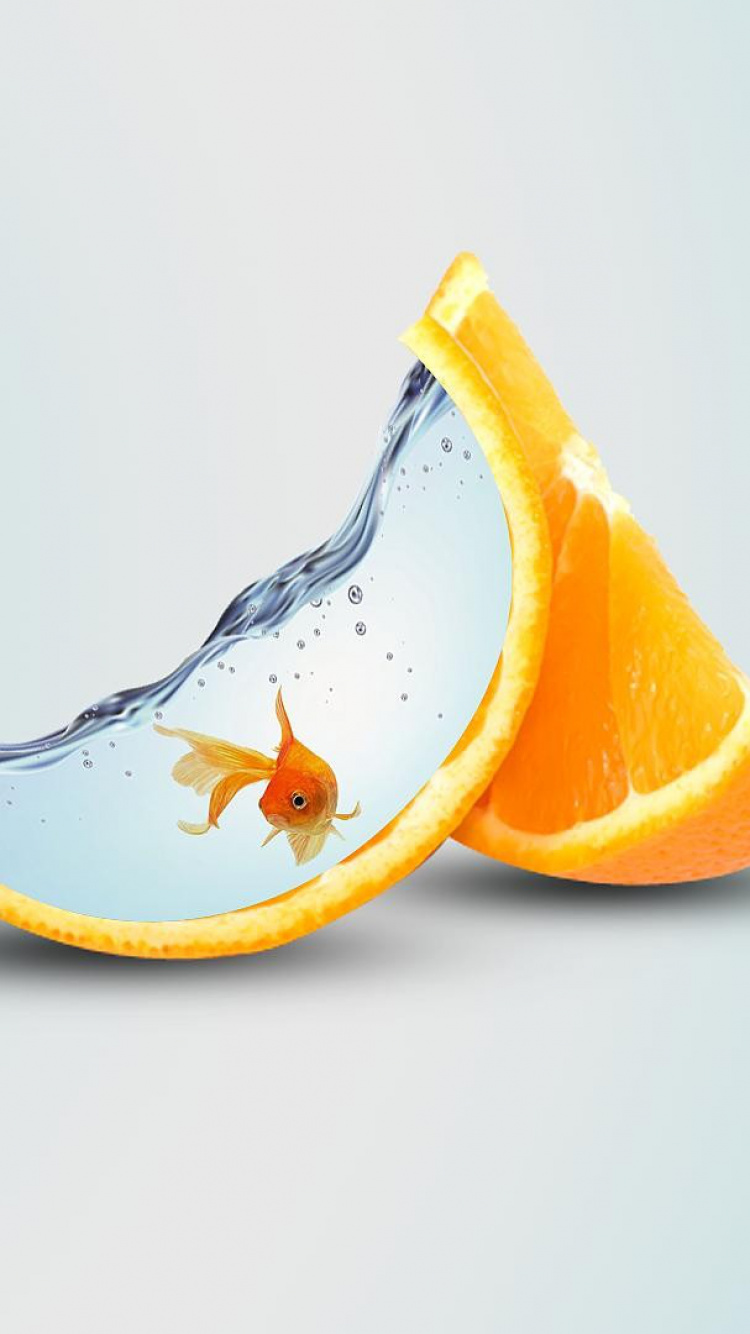 Sliced Orange Fruit on White and Yellow Floral Ceramic Plate. Wallpaper in 750x1334 Resolution