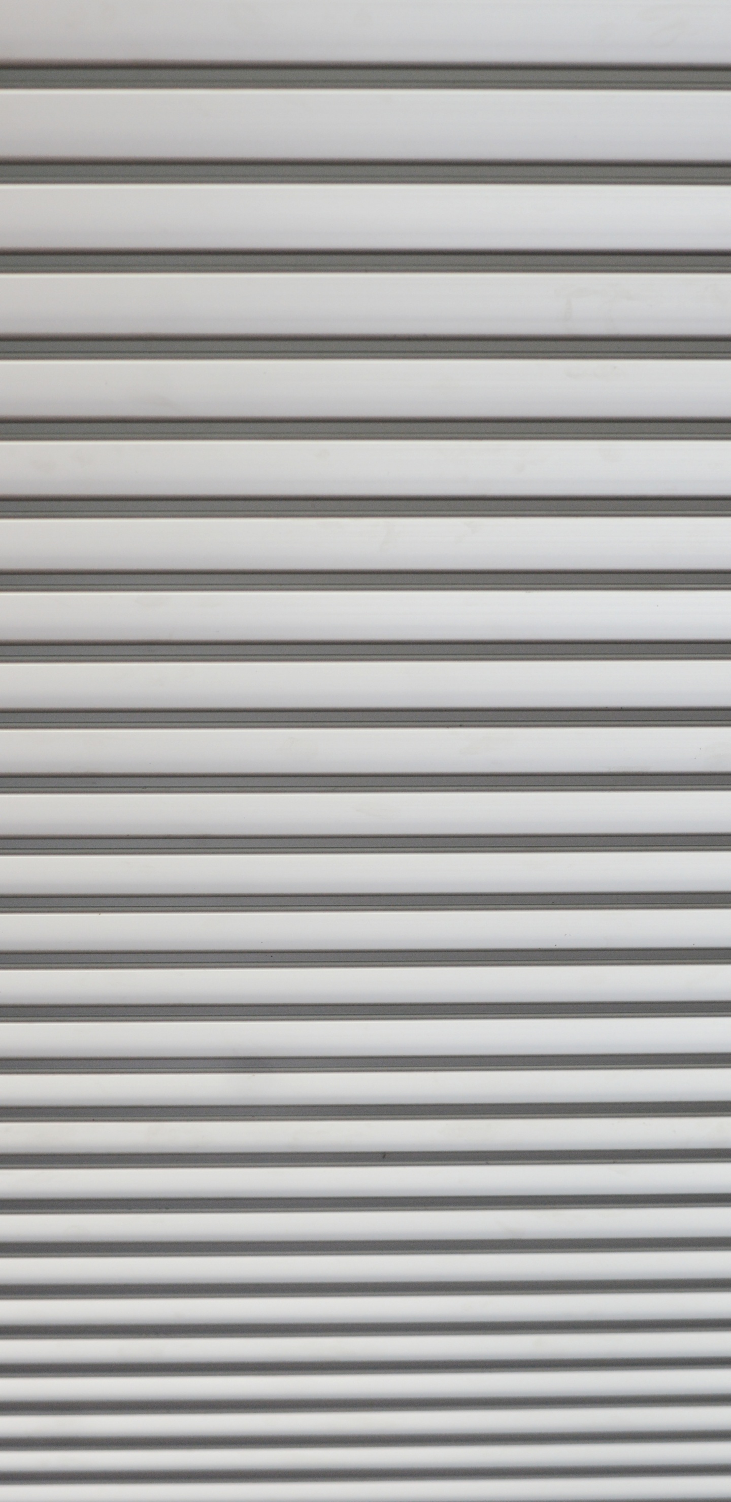 纹理, 黑色的, 窗口复盖 壁纸 1440x2960 允许