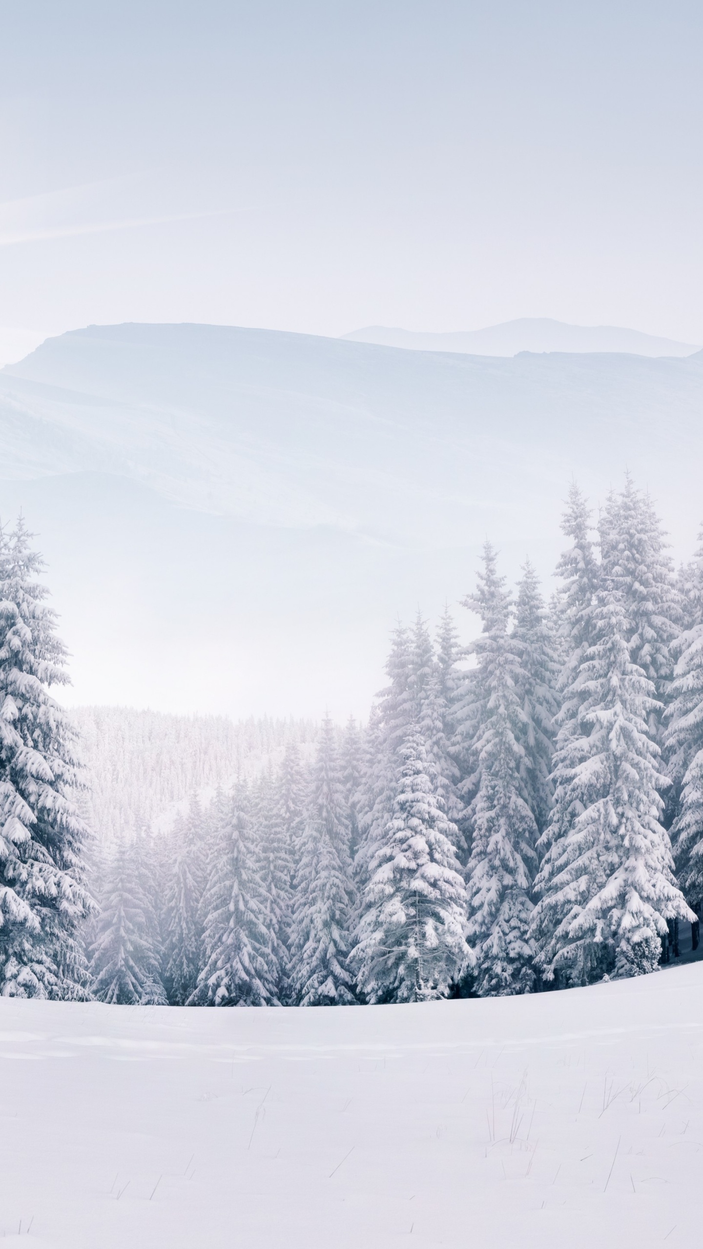 Paisaje Nevado Gratis, Nieve, Naturaleza, Invierno, Montaña. Wallpaper in 1440x2560 Resolution