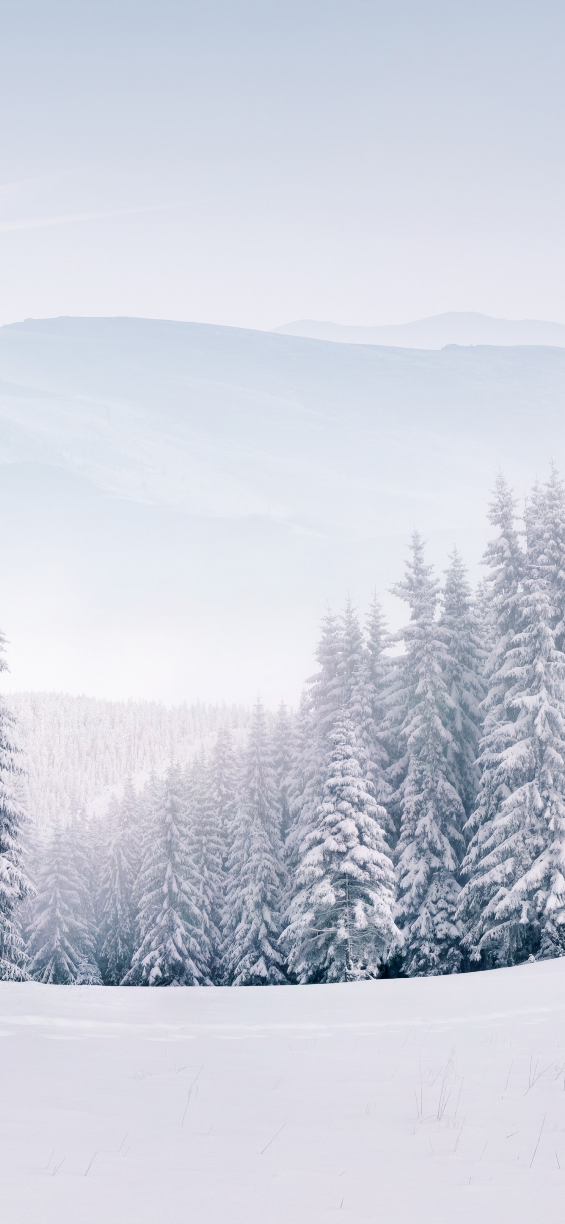 Schneelandschaft Frei, Schnee, Natur, Winter, Atmosphäre. Wallpaper in 1125x2436 Resolution