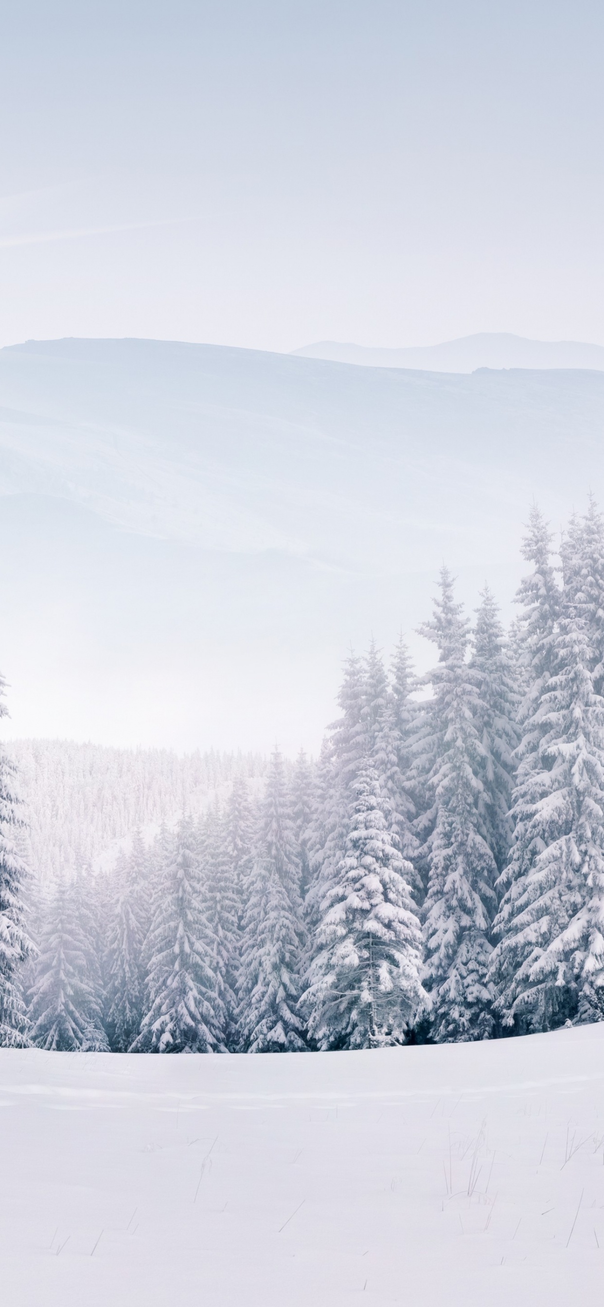 Snow Landscape Free, Snow, Landscape, Nature, Winter. Wallpaper in 1242x2688 Resolution
