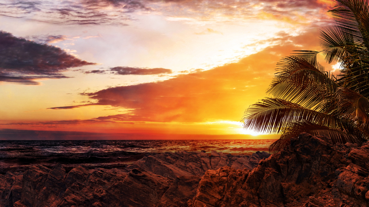 Cloud, Plant, Infrastructure, Natural Landscape, Road Surface. Wallpaper in 1280x720 Resolution